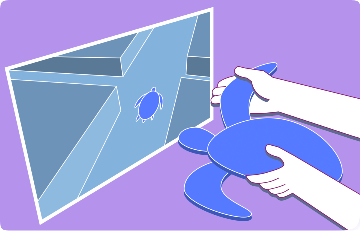 exiturtle banner
